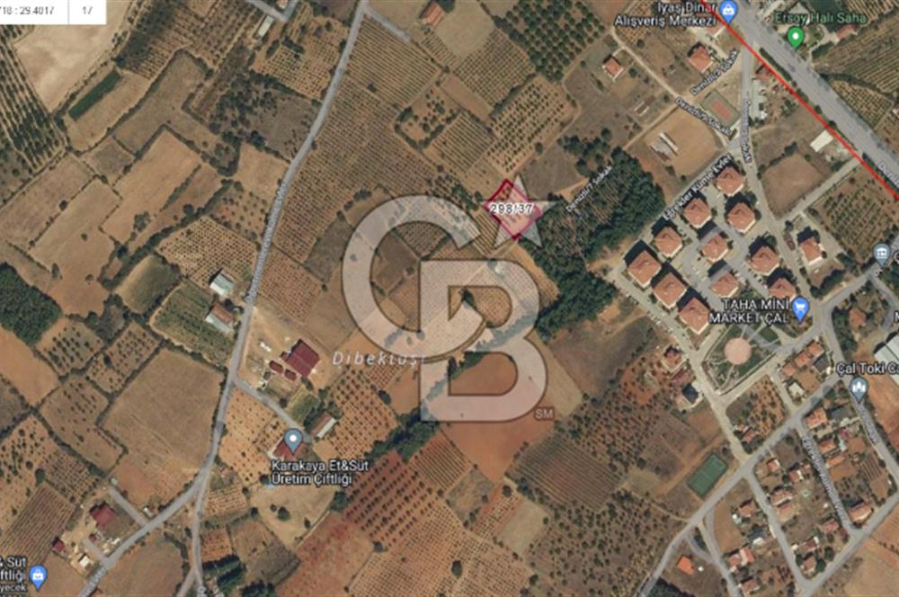 Denizli Çal Merkez Tokiler' de İmara Yakın Satılık Cevizlik