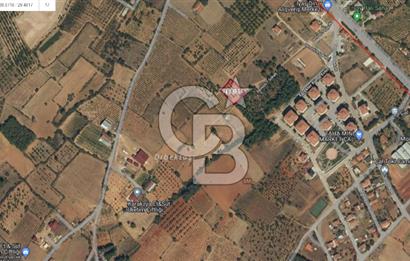 Denizli Çal Merkez Tokiler' de İmara Yakın Satılık Cevizlik