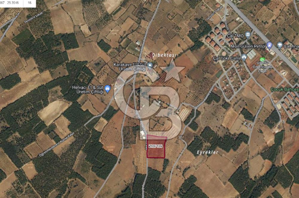 Denizli Çal Merkez'de Çiftlik yapımına Uygun Satılık Arazi