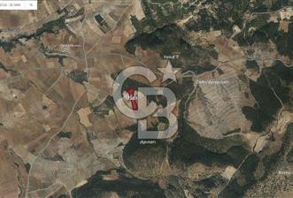 Denizli Çal Selcen' de Bağ Yetiştirmek İçin Uygun Satılık Arazi - 9 - 313525