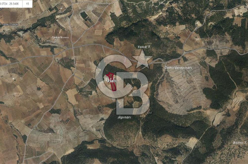 Denizli Çal Selcen' de Bağ Yetiştirmek İçin Uygun Satılık Arazi