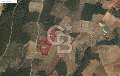 Denizli Çal Selcen' de Yatırım İçin uygun 13550 M² Satılık Arazi