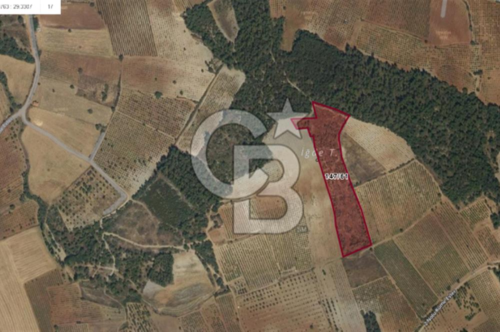 Denizli Çal Selcen' de Bağ Yetiştirmek İçin Uygun Satılık Arazi