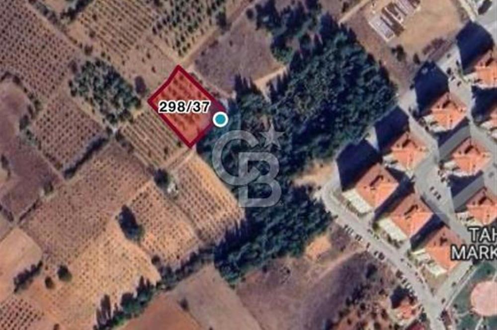 Denizli Çal Merkez Tokiler' de İmara Yakın Satılık Cevizlik