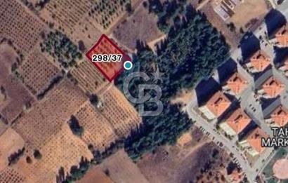 Denizli Çal Merkez Tokiler' de İmara Yakın Satılık Cevizlik