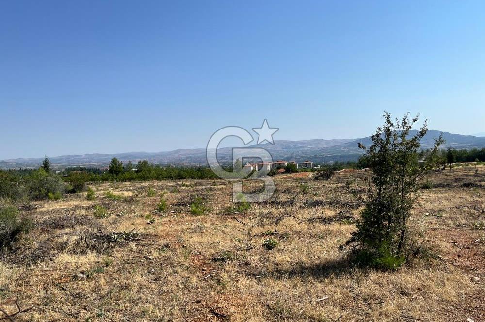 Denizli Çal Merkez'de Çiftlik yapımına Uygun Satılık Arazi