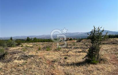 Denizli Çal Merkez'de Çiftlik yapımına Uygun Satılık Arazi