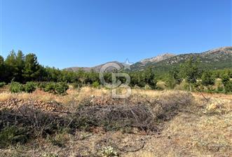 Denizli Çal Merkez'de Çiftlik yapımına Uygun Satılık Arazi - 1 - 313510