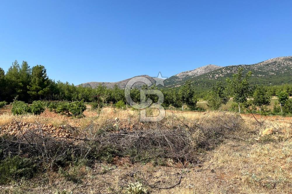 Denizli Çal Merkez'de Çiftlik yapımına Uygun Satılık Arazi