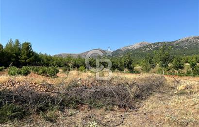 Denizli Çal Merkez'de Çiftlik yapımına Uygun Satılık Arazi