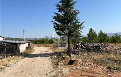 Denizli Çal Merkez'de Çiftlik yapımına Uygun Satılık Arazi