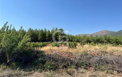 Denizli Çal Merkez'de Çiftlik yapımına Uygun Satılık Arazi