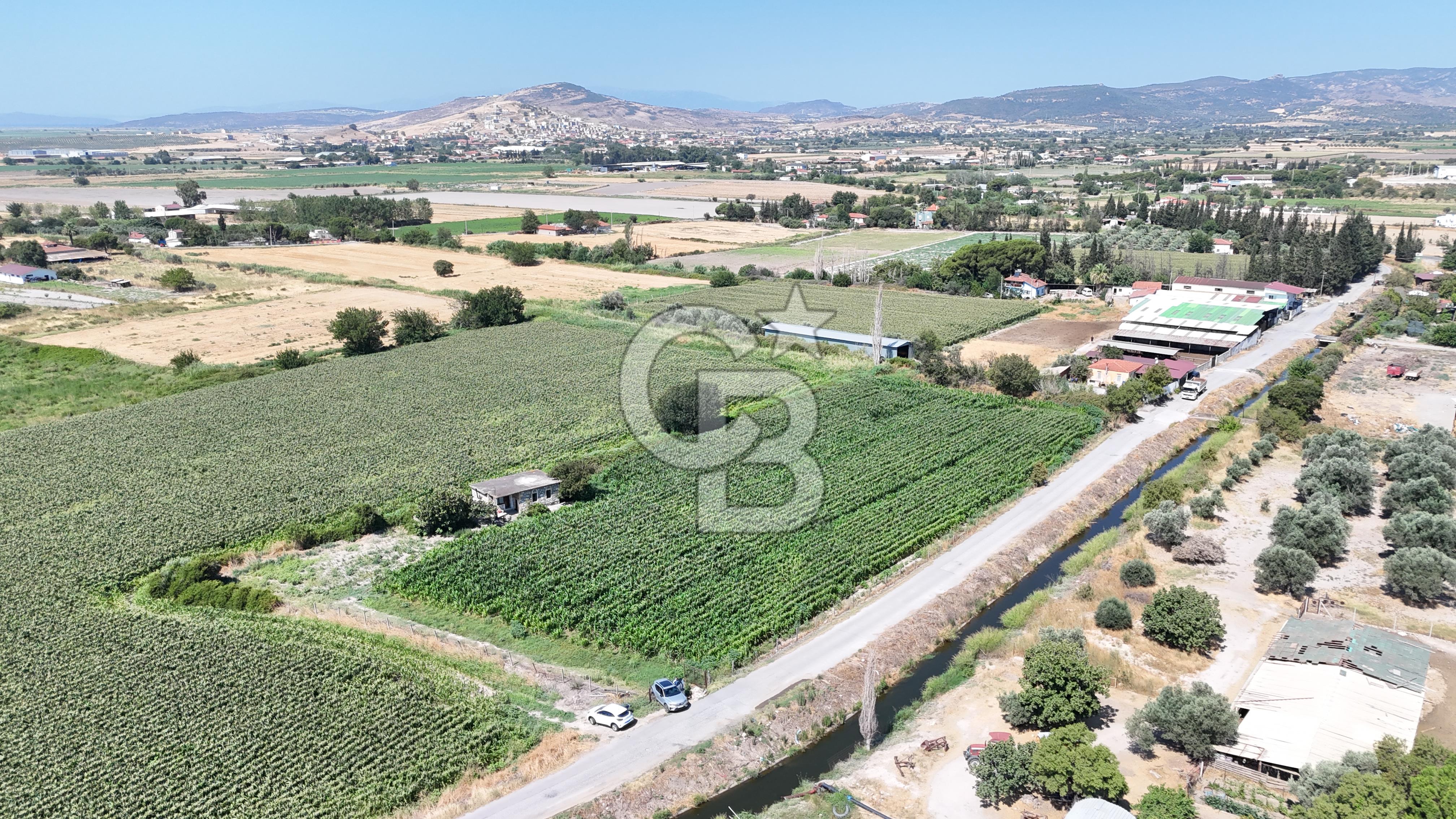 FOÇA BAĞARASI HACIVELİ MAHALLESİNDE 5625M2 SATILIK TARLA