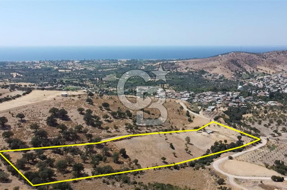 ÇANAKKALE AYVACIK KÖSEDERE KÖYÜ'NDE KAÇIRILMAYACAK FIRSAT