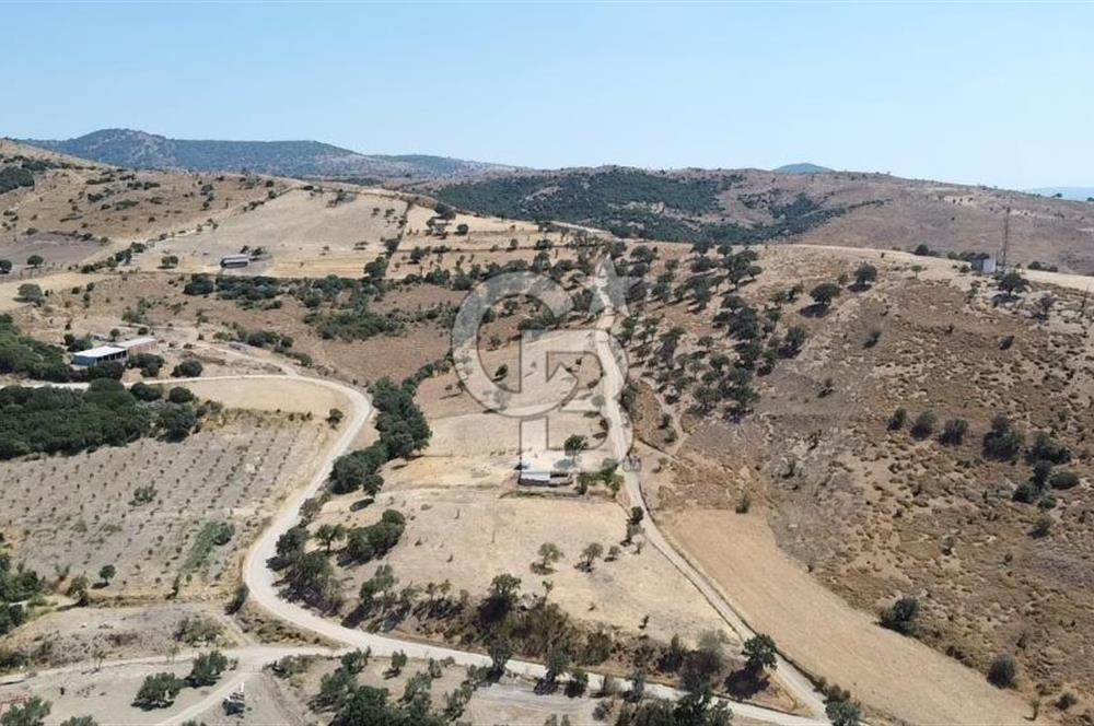 ÇANAKKALE AYVACIK KÖSEDERE KÖYÜ'NDE KAÇIRILMAYACAK FIRSAT