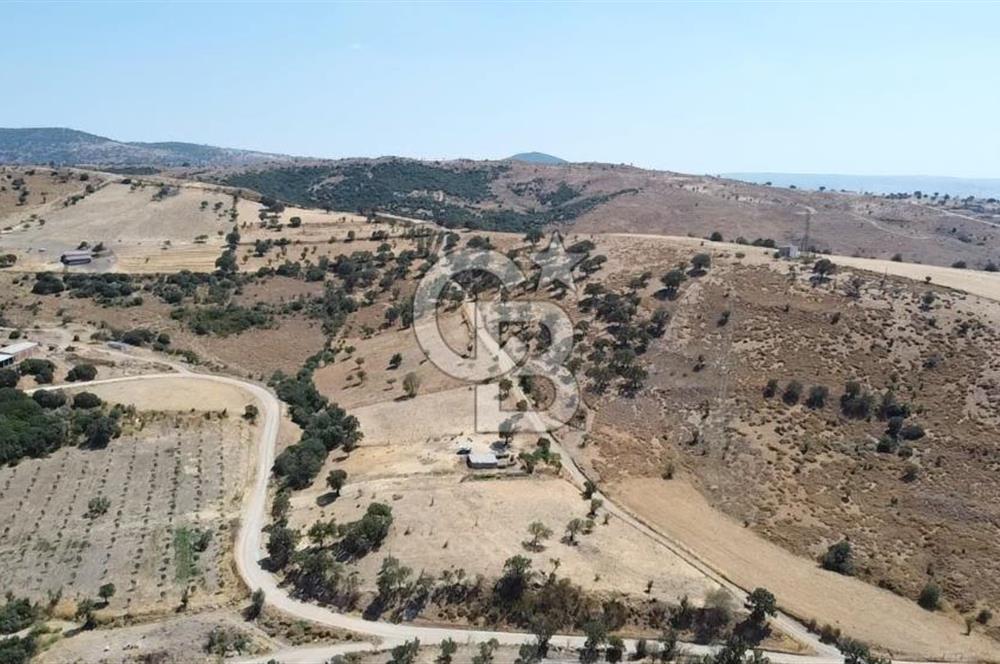 ÇANAKKALE AYVACIK KÖSEDERE KÖYÜ'NDE KAÇIRILMAYACAK FIRSAT