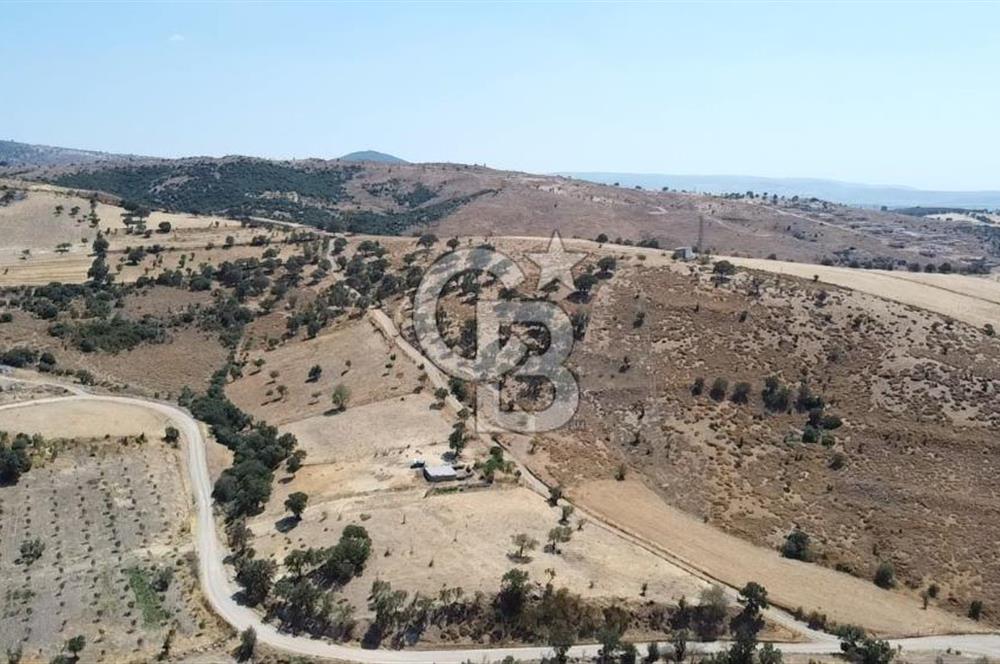 ÇANAKKALE AYVACIK KÖSEDERE KÖYÜ'NDE KAÇIRILMAYACAK FIRSAT