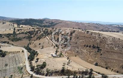 ÇANAKKALE AYVACIK KÖSEDERE KÖYÜ'NDE KAÇIRILMAYACAK FIRSAT