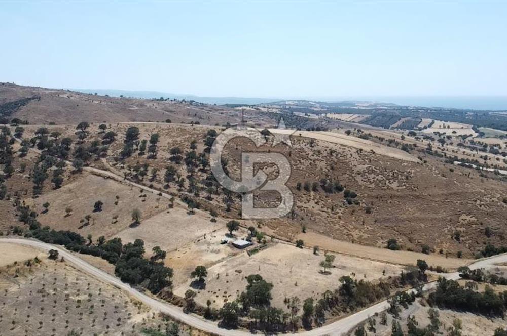 ÇANAKKALE AYVACIK KÖSEDERE KÖYÜ'NDE KAÇIRILMAYACAK FIRSAT