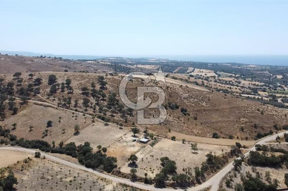 ÇANAKKALE AYVACIK KÖSEDERE KÖYÜ'NDE KAÇIRILMAYACAK FIRSAT
