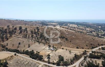 ÇANAKKALE AYVACIK KÖSEDERE KÖYÜ'NDE KAÇIRILMAYACAK FIRSAT