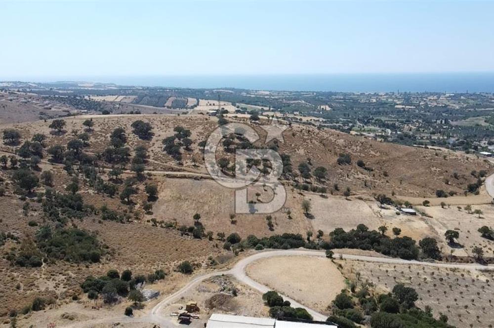 ÇANAKKALE AYVACIK KÖSEDERE KÖYÜ'NDE KAÇIRILMAYACAK FIRSAT