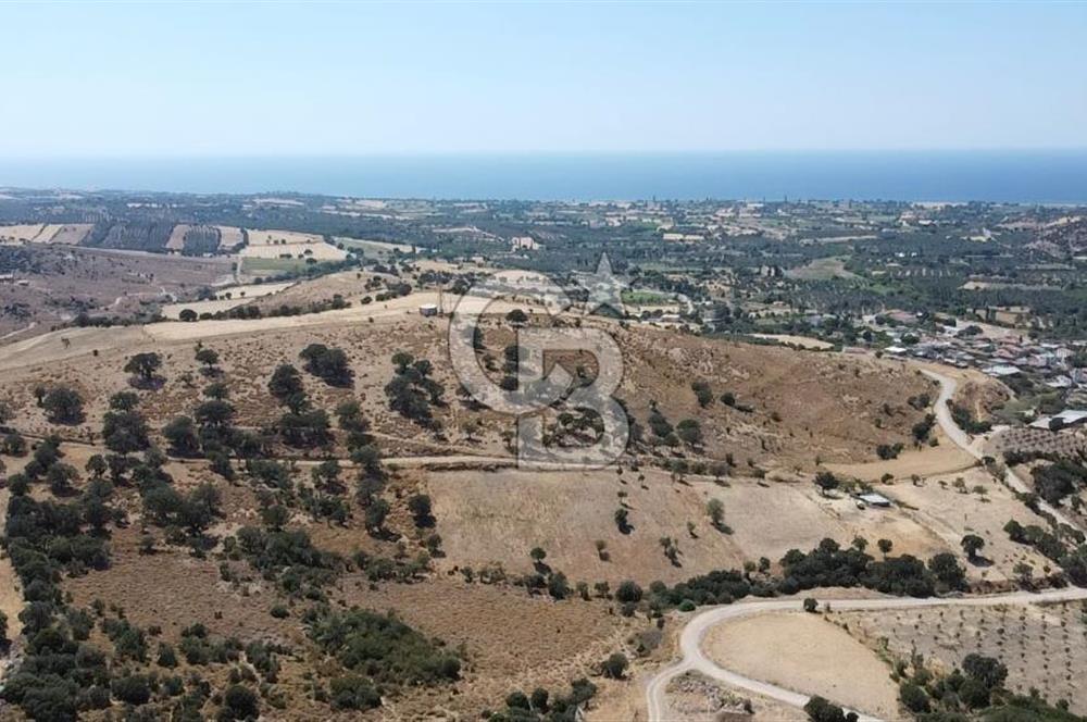 ÇANAKKALE AYVACIK KÖSEDERE KÖYÜ'NDE KAÇIRILMAYACAK FIRSAT
