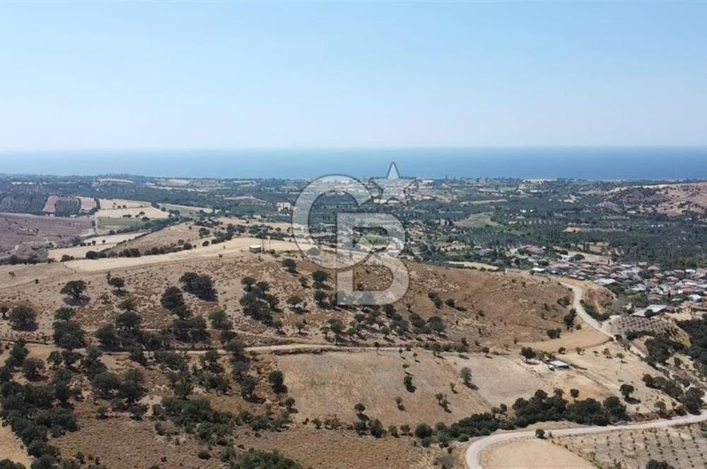 ÇANAKKALE AYVACIK KÖSEDERE KÖYÜ'NDE KAÇIRILMAYACAK FIRSAT