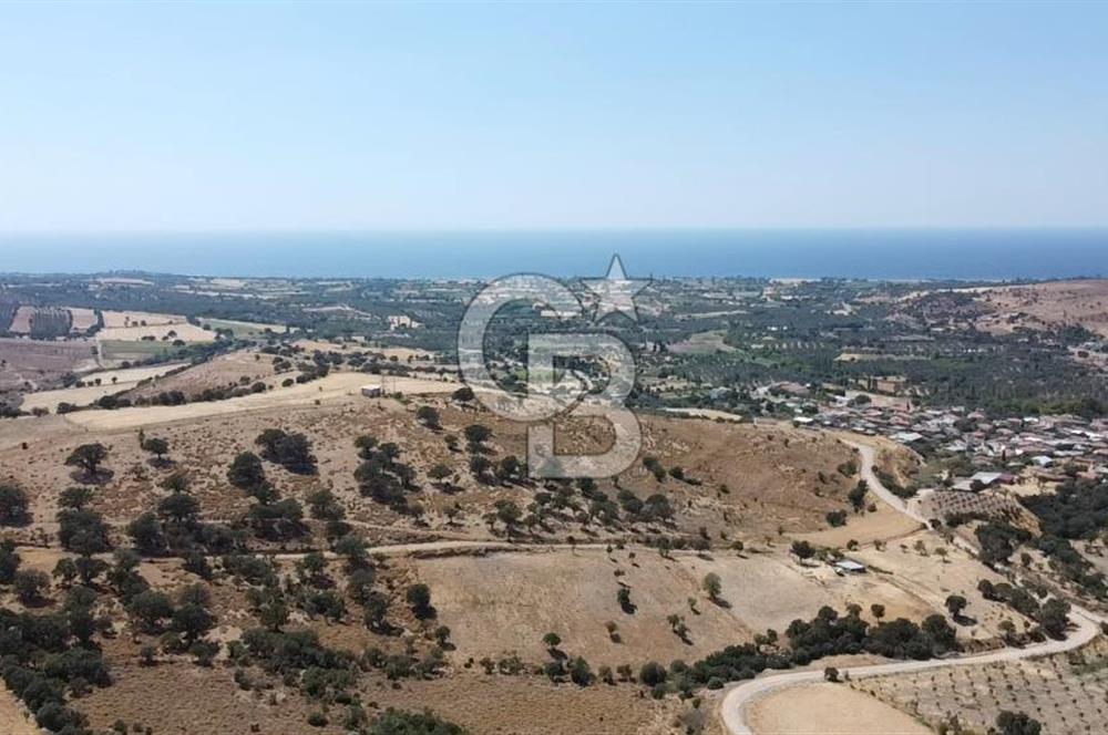 ÇANAKKALE AYVACIK KÖSEDERE KÖYÜ'NDE KAÇIRILMAYACAK FIRSAT