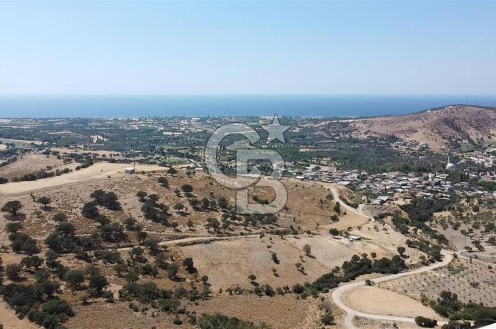 ÇANAKKALE AYVACIK KÖSEDERE KÖYÜ'NDE KAÇIRILMAYACAK FIRSAT