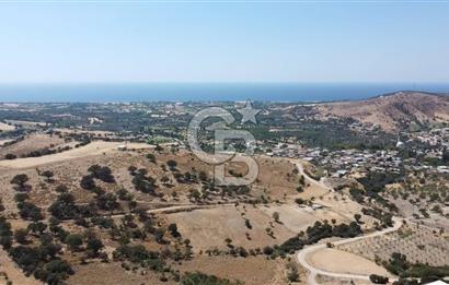 ÇANAKKALE AYVACIK KÖSEDERE KÖYÜ'NDE KAÇIRILMAYACAK FIRSAT