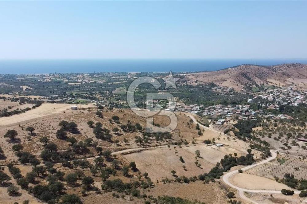 ÇANAKKALE AYVACIK KÖSEDERE KÖYÜ'NDE KAÇIRILMAYACAK FIRSAT