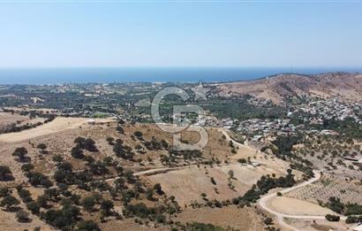 ÇANAKKALE AYVACIK KÖSEDERE KÖYÜ'NDE KAÇIRILMAYACAK FIRSAT