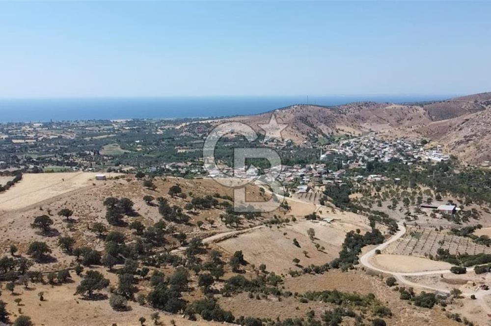 ÇANAKKALE AYVACIK KÖSEDERE KÖYÜ'NDE KAÇIRILMAYACAK FIRSAT