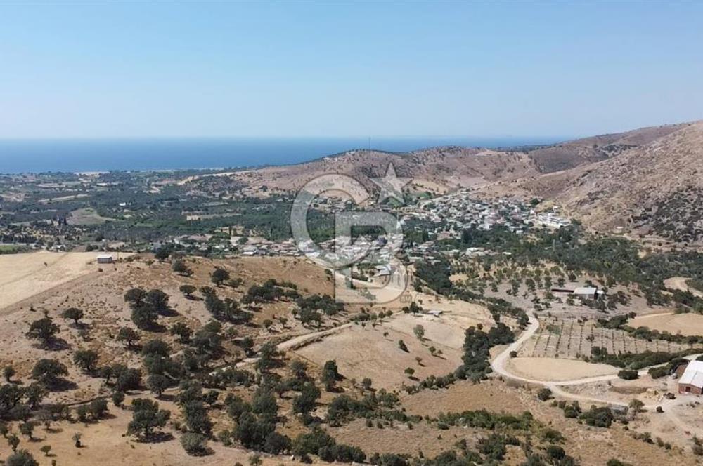 ÇANAKKALE AYVACIK KÖSEDERE KÖYÜ'NDE KAÇIRILMAYACAK FIRSAT