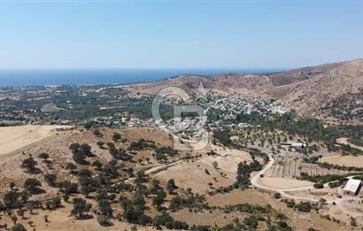 ÇANAKKALE AYVACIK KÖSEDERE KÖYÜ'NDE KAÇIRILMAYACAK FIRSAT