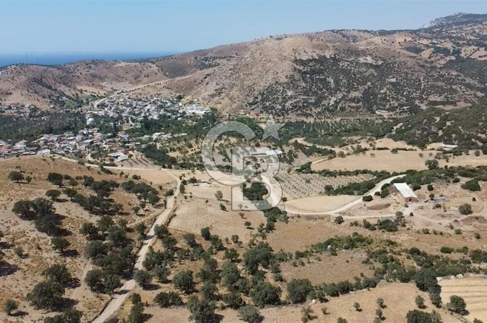 ÇANAKKALE AYVACIK KÖSEDERE KÖYÜ'NDE KAÇIRILMAYACAK FIRSAT