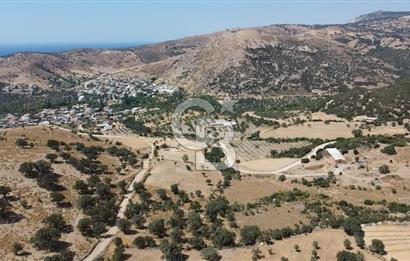 ÇANAKKALE AYVACIK KÖSEDERE KÖYÜ'NDE KAÇIRILMAYACAK FIRSAT