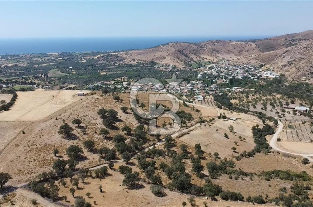 ÇANAKKALE AYVACIK KÖSEDERE KÖYÜ'NDE KAÇIRILMAYACAK FIRSAT