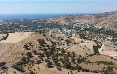 ÇANAKKALE AYVACIK KÖSEDERE KÖYÜ'NDE KAÇIRILMAYACAK FIRSAT
