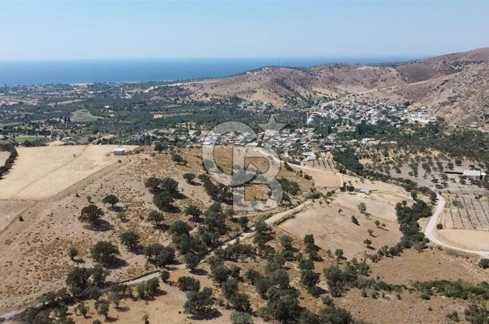 ÇANAKKALE AYVACIK KÖSEDERE KÖYÜ'NDE KAÇIRILMAYACAK FIRSAT
