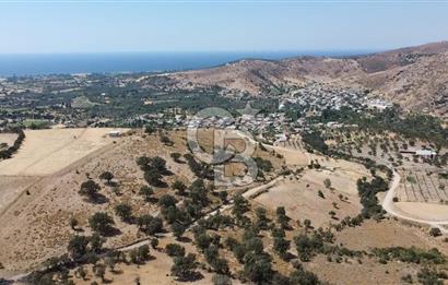 ÇANAKKALE AYVACIK KÖSEDERE KÖYÜ'NDE KAÇIRILMAYACAK FIRSAT