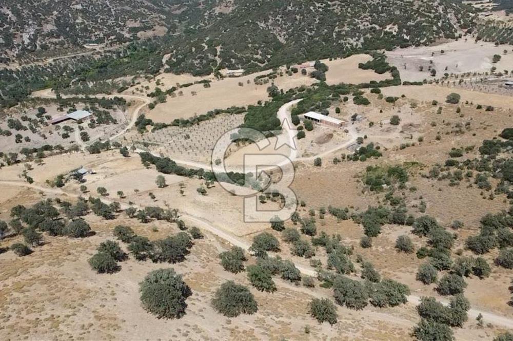 ÇANAKKALE AYVACIK KÖSEDERE KÖYÜ'NDE KAÇIRILMAYACAK FIRSAT