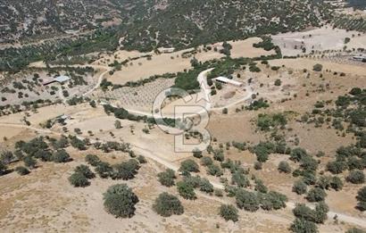 ÇANAKKALE AYVACIK KÖSEDERE KÖYÜ'NDE KAÇIRILMAYACAK FIRSAT
