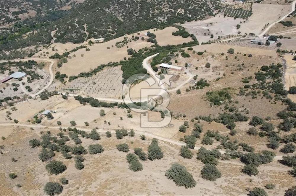 ÇANAKKALE AYVACIK KÖSEDERE KÖYÜ'NDE KAÇIRILMAYACAK FIRSAT