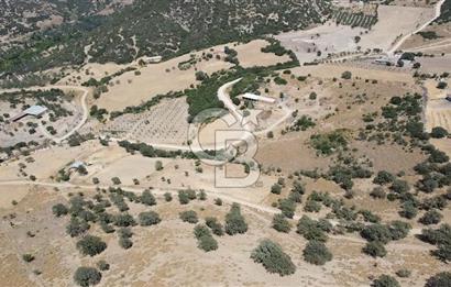 ÇANAKKALE AYVACIK KÖSEDERE KÖYÜ'NDE KAÇIRILMAYACAK FIRSAT