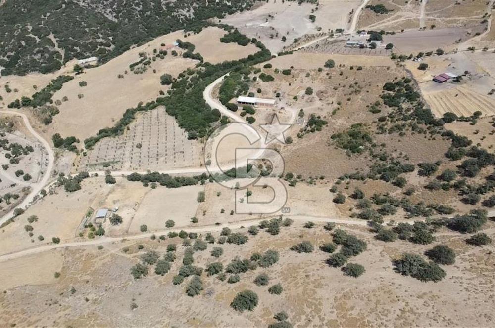 ÇANAKKALE AYVACIK KÖSEDERE KÖYÜ'NDE KAÇIRILMAYACAK FIRSAT