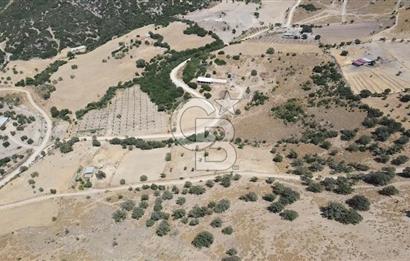 ÇANAKKALE AYVACIK KÖSEDERE KÖYÜ'NDE KAÇIRILMAYACAK FIRSAT