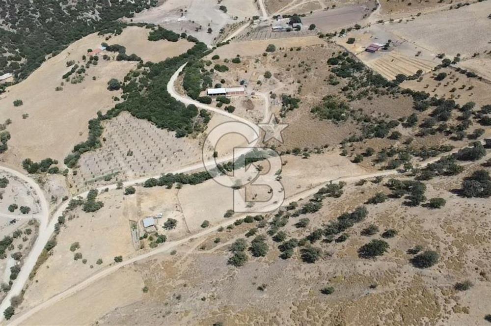 ÇANAKKALE AYVACIK KÖSEDERE KÖYÜ'NDE KAÇIRILMAYACAK FIRSAT