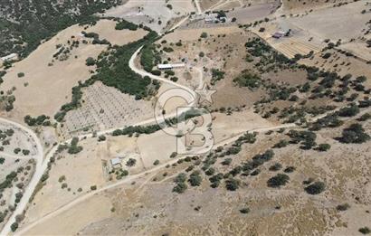 ÇANAKKALE AYVACIK KÖSEDERE KÖYÜ'NDE KAÇIRILMAYACAK FIRSAT